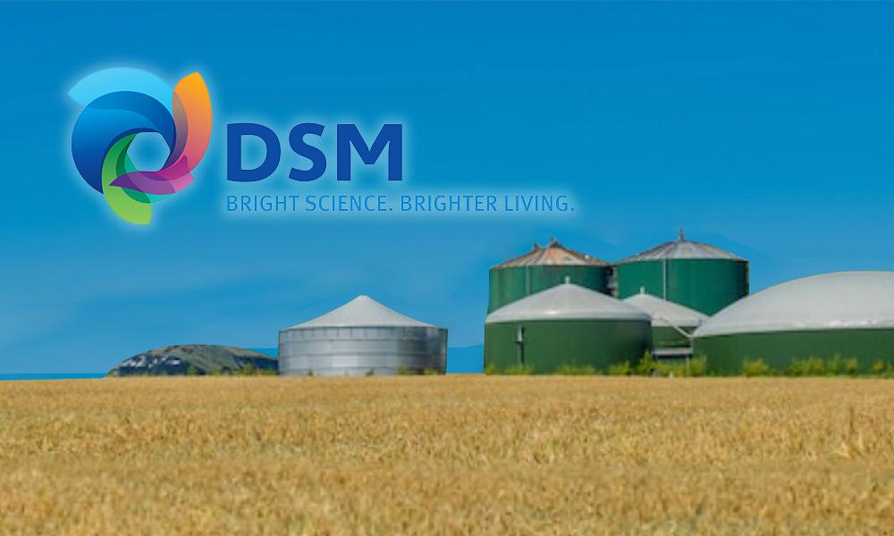DSM - New partner